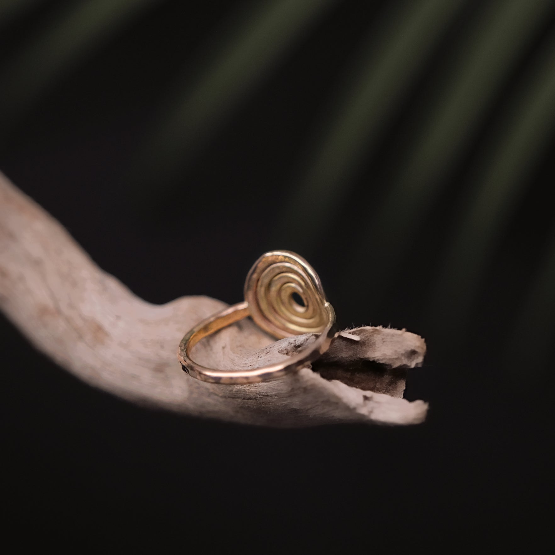 Golden Puka Ring